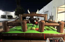 Buckie the Mechanical Bull